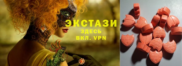 СК Зерноград