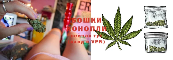 СК Зерноград