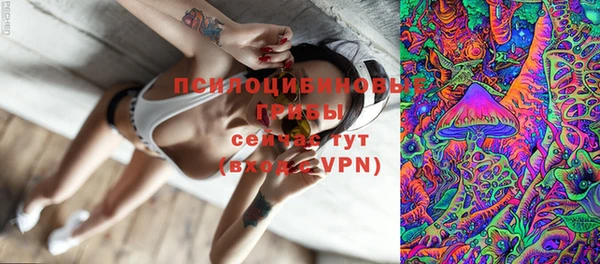 СК Зеленокумск