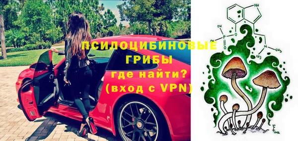 СК Зеленокумск