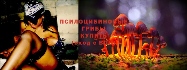 СК Зеленокумск