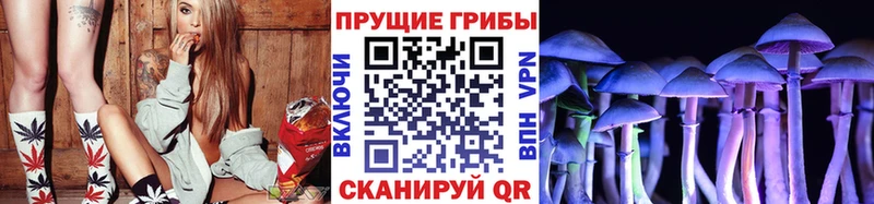 Купить где  Нижнеудинск  Галлюциногенные грибы мухоморы 